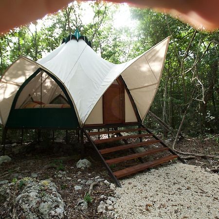 Hotel Magical Jungle Eco Cabana -Tulum Macario Gomez Esterno foto