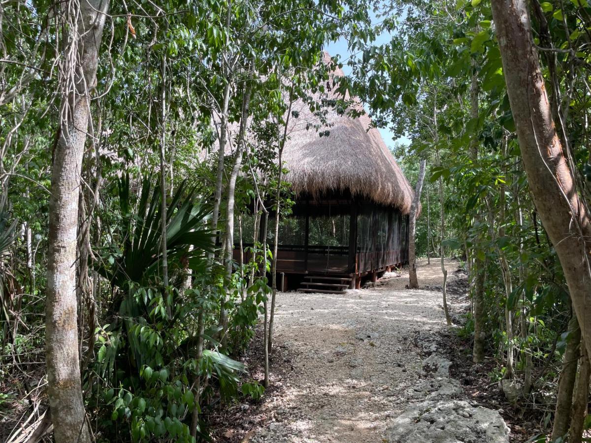 Hotel Magical Jungle Eco Cabana -Tulum Macario Gomez Esterno foto