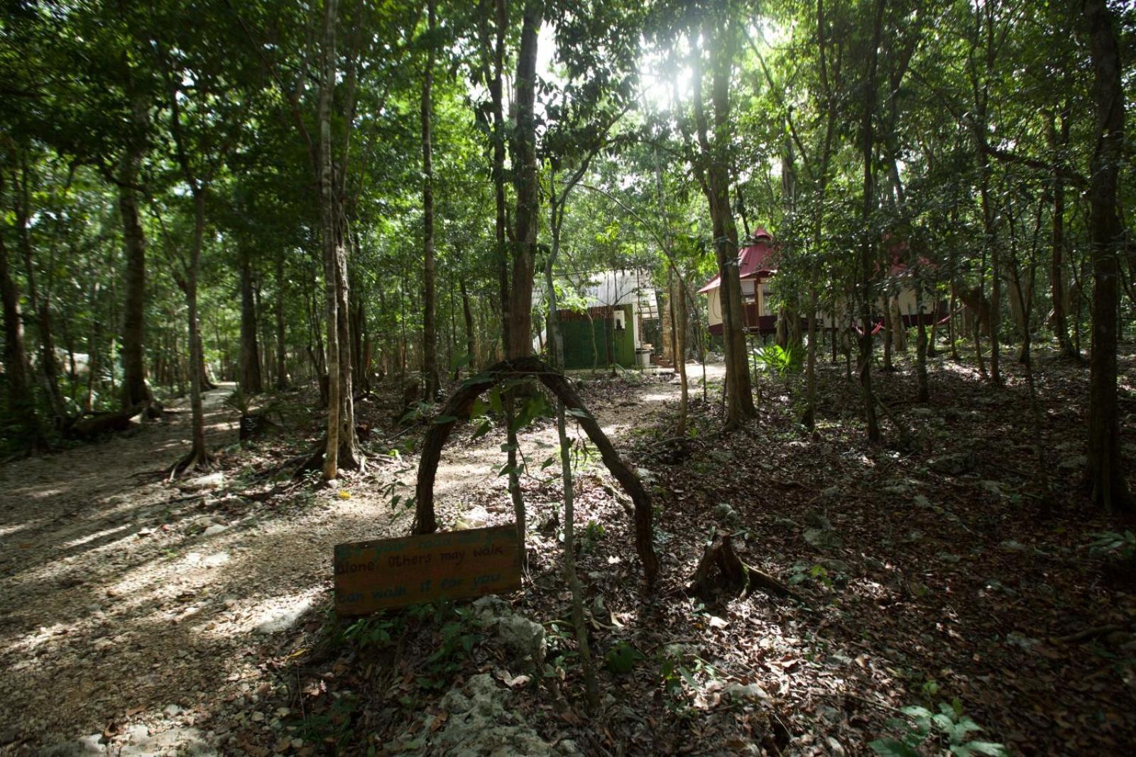 Hotel Magical Jungle Eco Cabana -Tulum Macario Gomez Esterno foto